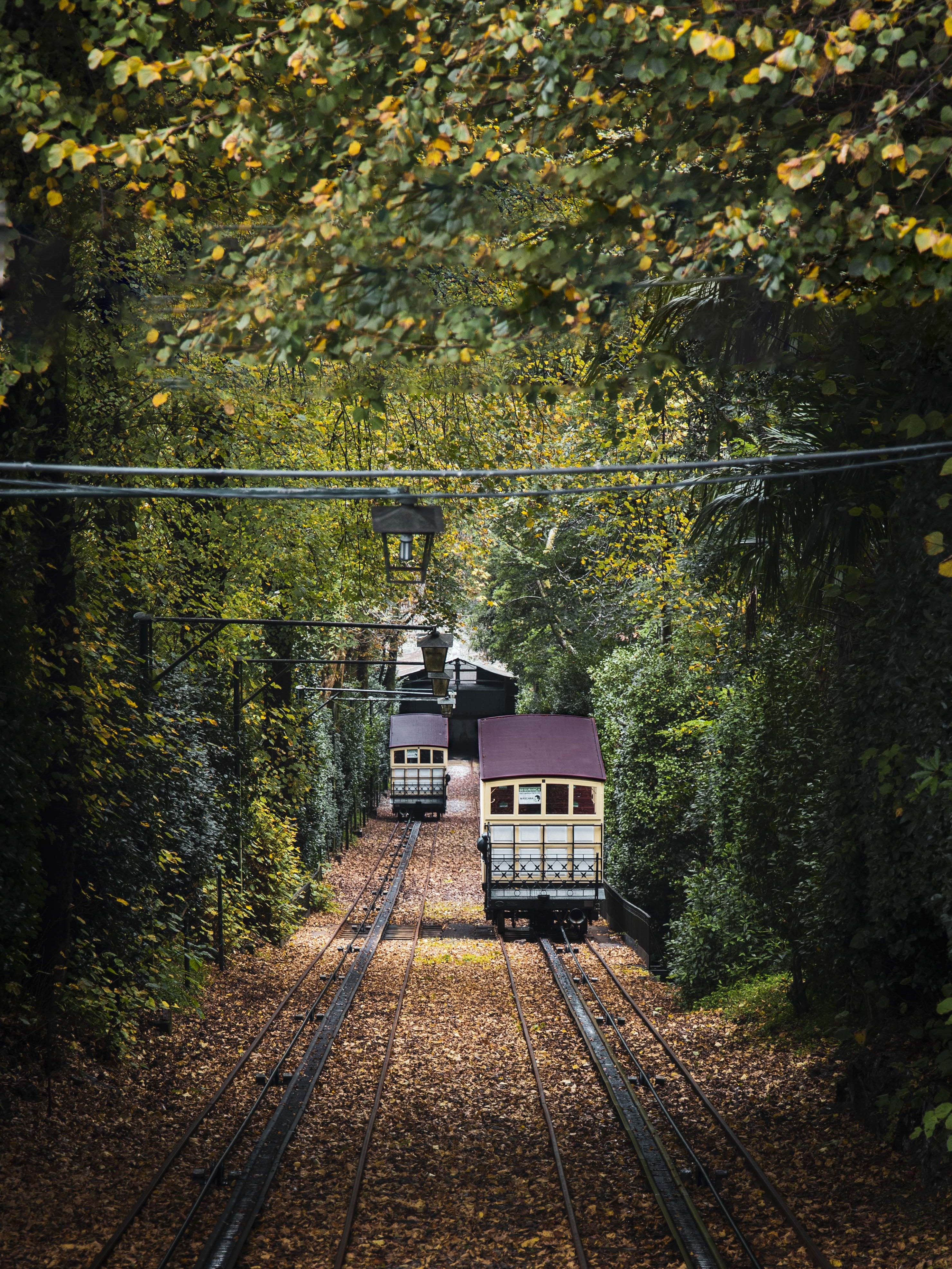 Bom Jesus funicular