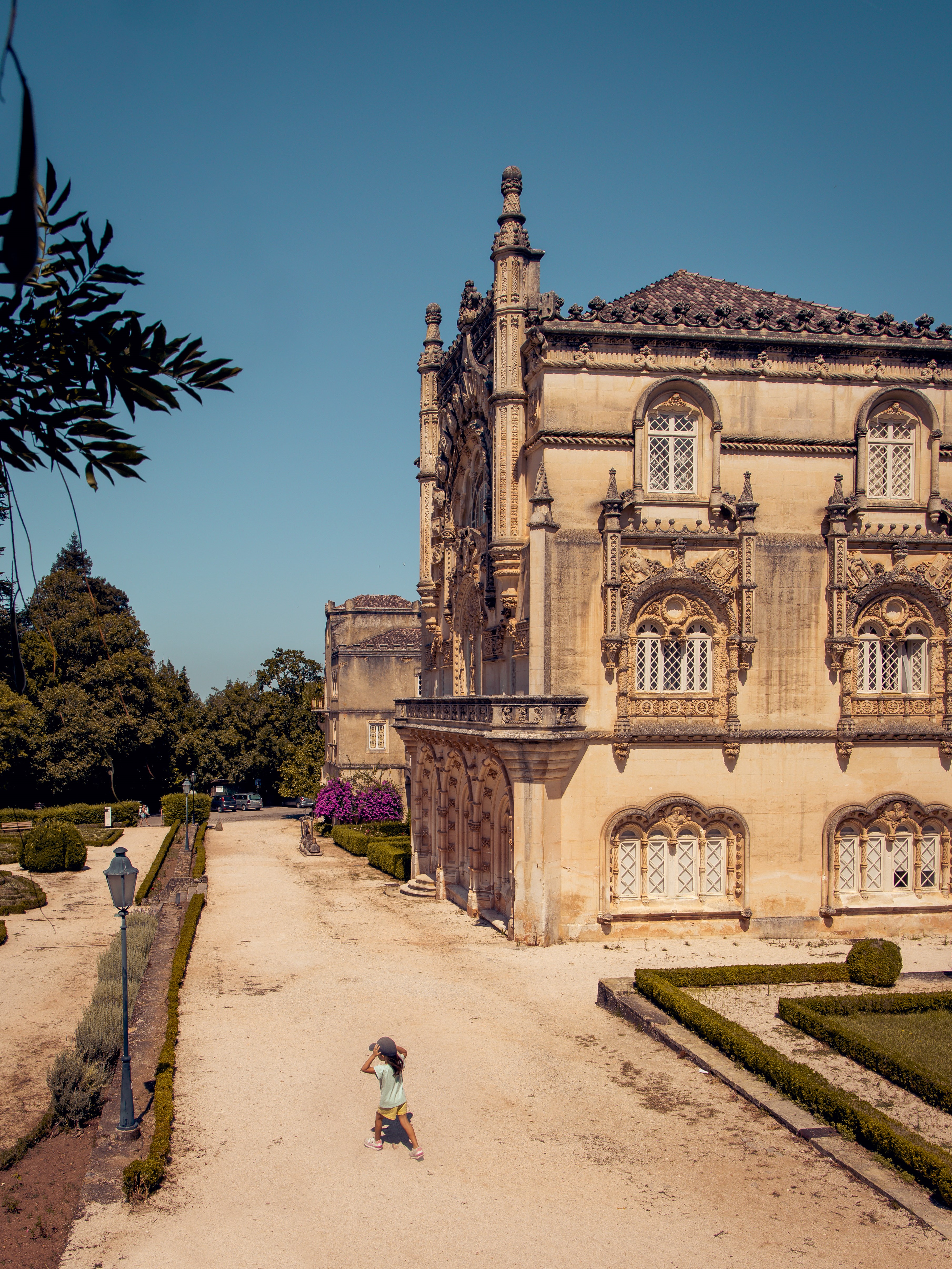 Bussaco palace tour porto-lisbon transfer